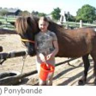 Die Ponybande in Mühlleiten Die Ponybande in Mühlleiten