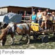 Kindergeburtstag bei der Ponybande in Mühlleiten Kindergeburtstag bei der Ponybande in Mühlleiten