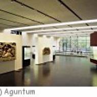 Aguntum bei Dölsach: Stadt, Archäologischer Park, Museum Aguntum bei Dölsach: Stadt, Archäologischer Park, Museum