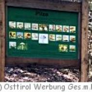 Naturlehrpfad Lienz