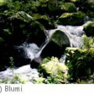 Lohnbachfall bei Arbesbach/Pretrobruck