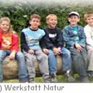 Wald-Nachmittag in der Werkstatt Natur bei Marz Werkstatt Natur bei Marz im Burgenland