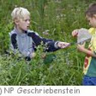 Kindergeburstag im Naturpark Geschriebenstein Naturpark Geschriebenstein