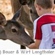 Bauer & Wirt Langthaler in Pömling Bauer & Wirt Langthaler in Pömling