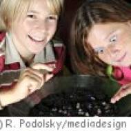 Kindergeburtstag in der MOKE Kindererlebniswelt in Gars MOKE – Modellbau- und Kindererlebniswelt in Gars am Kamp