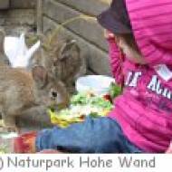 Naturpark Hohe Wand