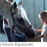 Verein Equissimi im Reitstall Triestinghof in Trumau