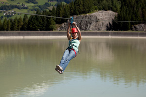 Flying Fox