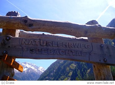 Naturlehrweg Seebachtal