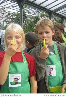 Gemüsezwerge-Kindergeburtstag in Bruckneudorf