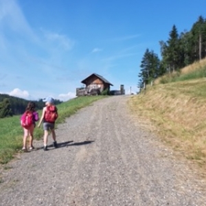 Wipfelwanderweg Rachau bei Knittelfeld