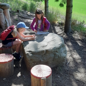 Wipfelwanderweg Rachau bei Knittelfeld
