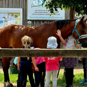 reitunterricht und reittherapie fuer kinder und erwachsene reittreff tullnerfeld mamilade ausflugstipps
