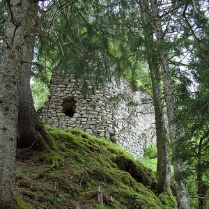 Wald im Pinzgau Ruine Hieburg