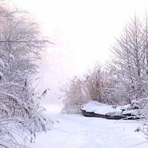 (c) pixabay lehrpfad willersdorfer schlucht aschauer au ausflugstipp mamilade