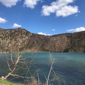 Almsee