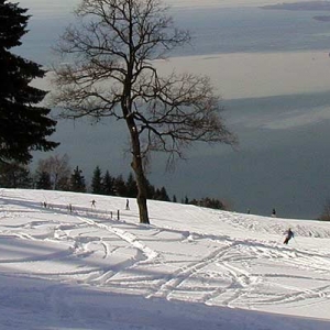 Winterliches Sportvergnügen am Pfänder in Bregenz