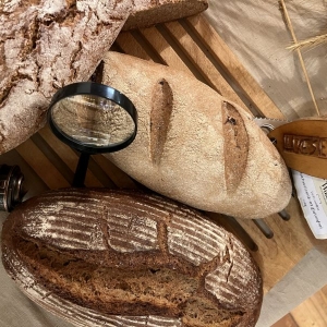 brot escape room eisenstadt ausflugstipps mamilade, escape raum burgenland