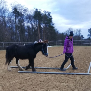 ponyspass am pferdehof marterberg mamilade ausflugstipps