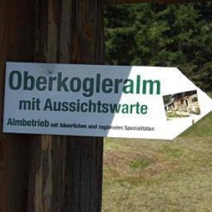 Naturlehrpfad und Aussichtswarte am Wörschachberg