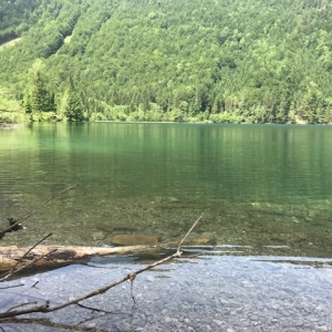(c) Ebensee