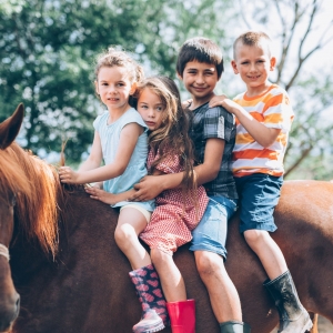 kindergeburtstag feiern pferdesportzentrum volders ausflugstipp mamilade