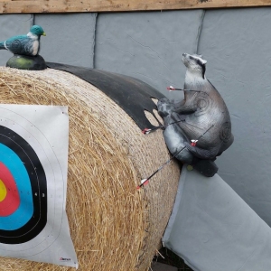 (c) NÖ Card-Werner Barta bogenschiessen kletterpark wartmannstetten neunkirchen mamilade ausflugstipps
