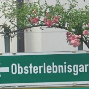 Obsterlebnisgarten Lohnsburg