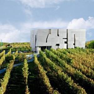 Loisium Welt des Weins in Langenlois ausflugstipp mamilade