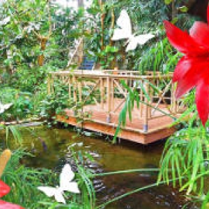 palmenhaus blumengaerten hirschstetten ausflugstipp mamilade