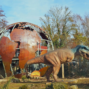 (c) art man nature museum gemeinnützige GmbH