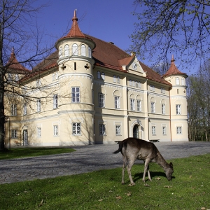 Tierpark Schloss Mageregg