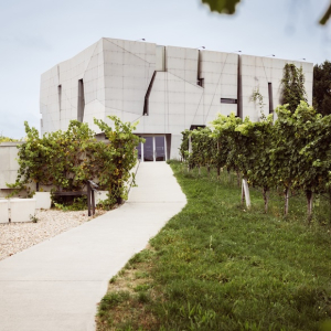 Steininger Weinwelt Aussenansicht mit WEingarten