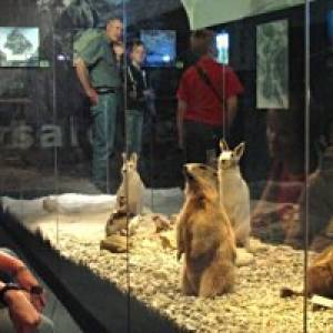 Nationalparkzentrum Hohe Tauern in Matrei ausflugstipp mamilade, tauernwelten museum