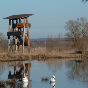 vogelparadies weidmoos ausflugstipp mamilade