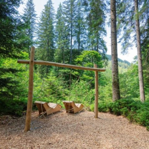 wald themenweg wild live westendorf tirol ausflugstipp mamilade