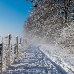 (c) pixabay erlebniswanderweg weppersdorf ausflugstipp mamilade