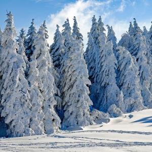 Symbolfoto Winterwandern am Muttersberg bei Bludenz