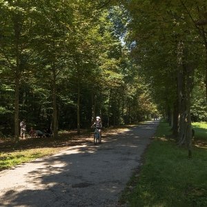 schwarzenbergpark neuwaldeck wien ausflugstipp mamilade