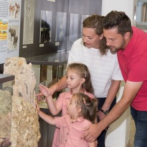 Krahuletz Museum Eggenburg ausflugstipp mamilade