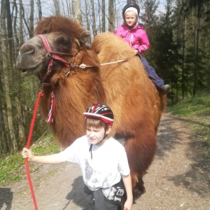 Mami-Check: Kamelreiten in Schlüsselberg