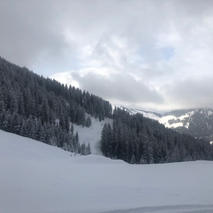 (c) Mamilade Mami-Check: Hochkönig