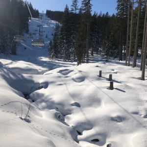 (c) Mamilade Mami-Check: Skigebiet Alpendorf