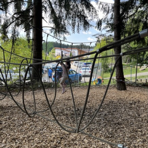 (c) Mamilade Bärenwald Arbesbach