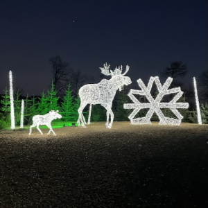 (c) Mamilade eis greissler lichterglanz spektakel lichtskulpturen mamilade ausflugstipps