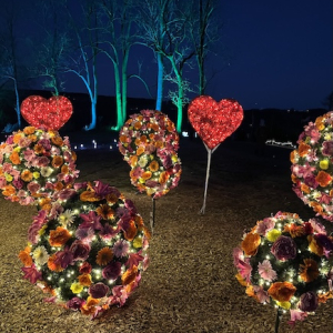 (c) Mamilade eis greissler lichterglanz spektakel rosengarten mamilade ausflugstipps