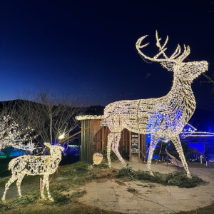 (c) Mamilade eis greissler lichterglanz spektakel lichtinstallationen mamilade ausflugstipps