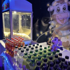 (c) Mamilade eis greissler lichterglanz spektakel eislaufshow popcorn mamilade ausflugstipps