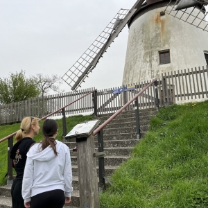 (c) Mamilade raetselrallye alter fischer podersdorf am see mamilade ausflugstipps