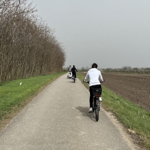 (c) Mamilade radfahren podersdorf am see mamilade ausflugstipps